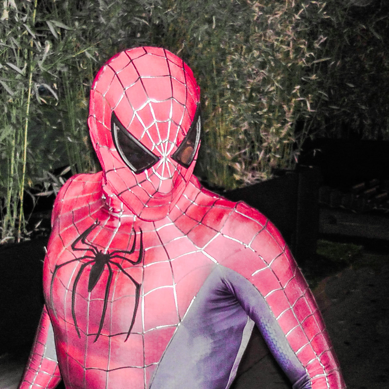 personaggio con costume Spiderman